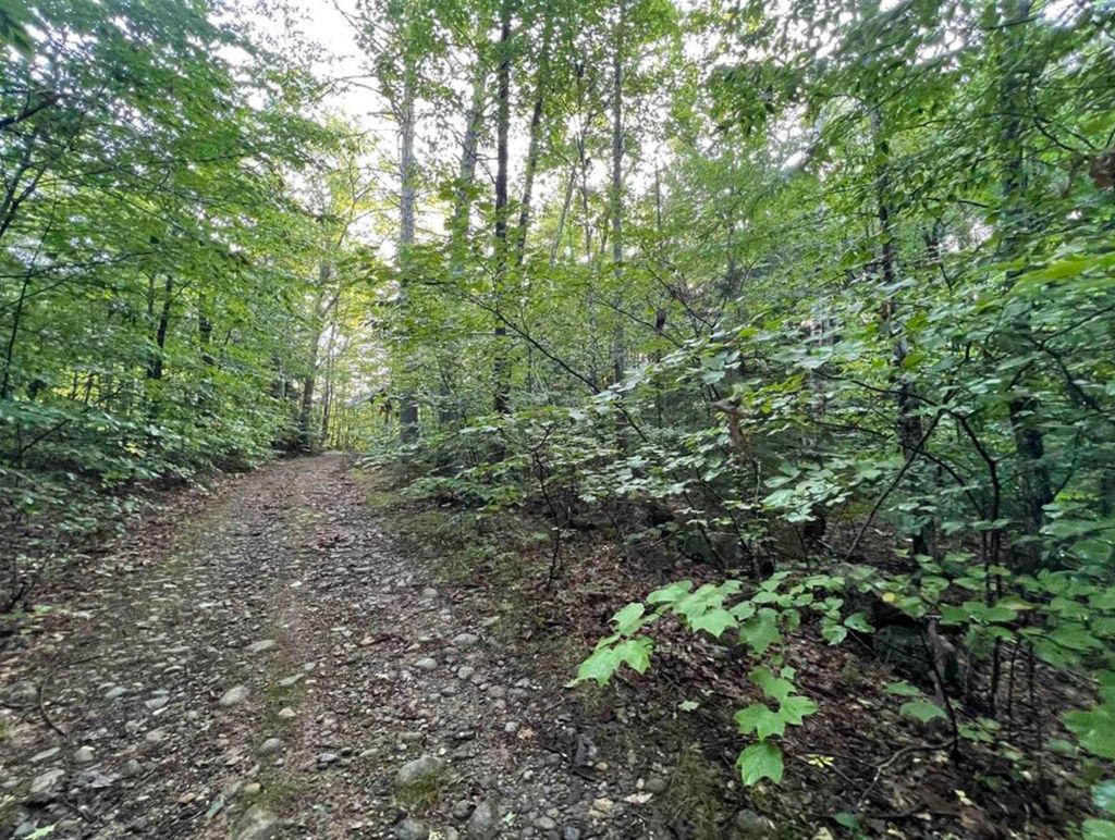 Photo of 638 Chadwick Hill Road, Webster, NH 03303 (MLS # 5086565)
