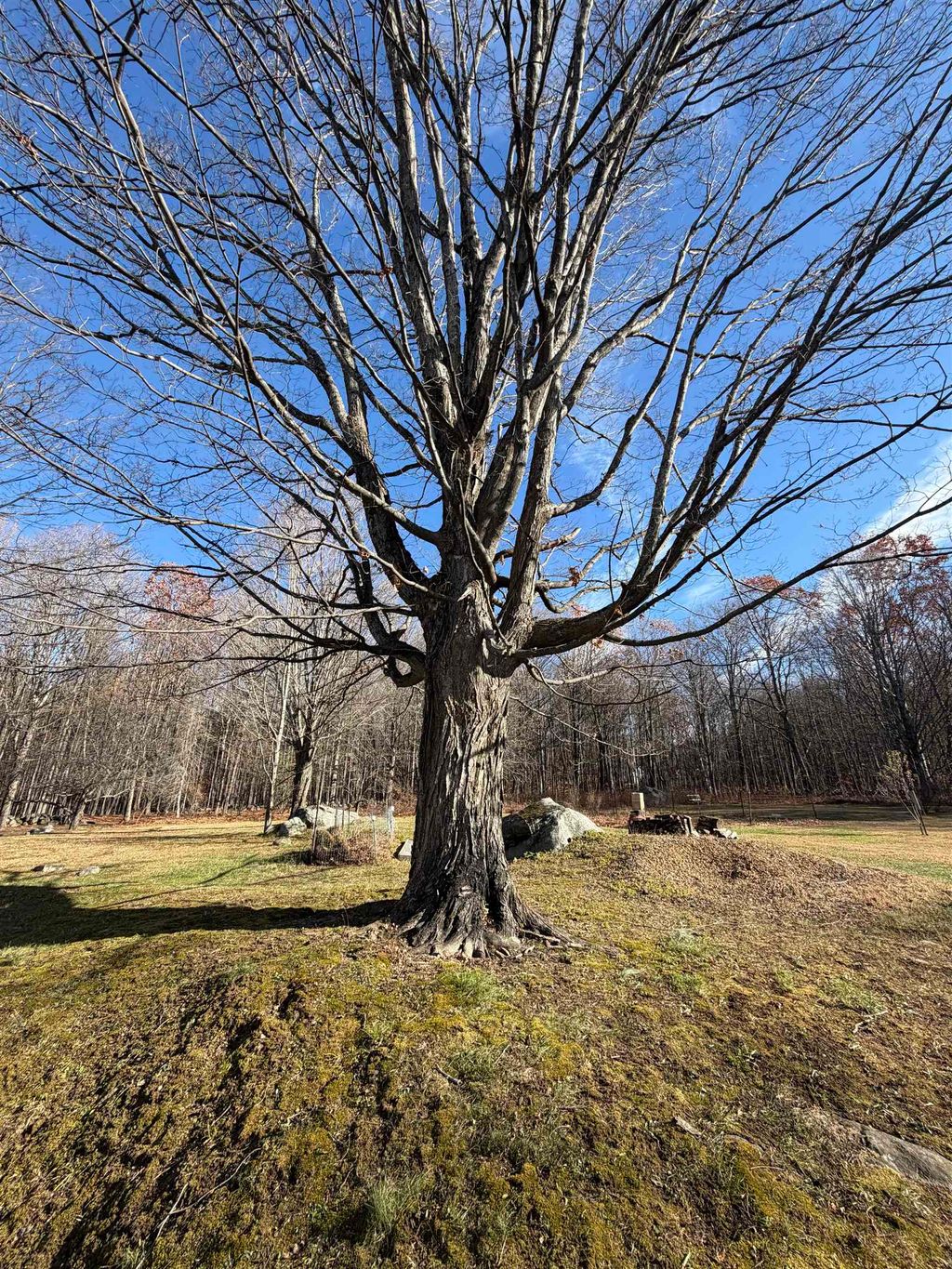 Photo of 00 Pease Road, Meredith, NH 03253 (MLS # 5070517)