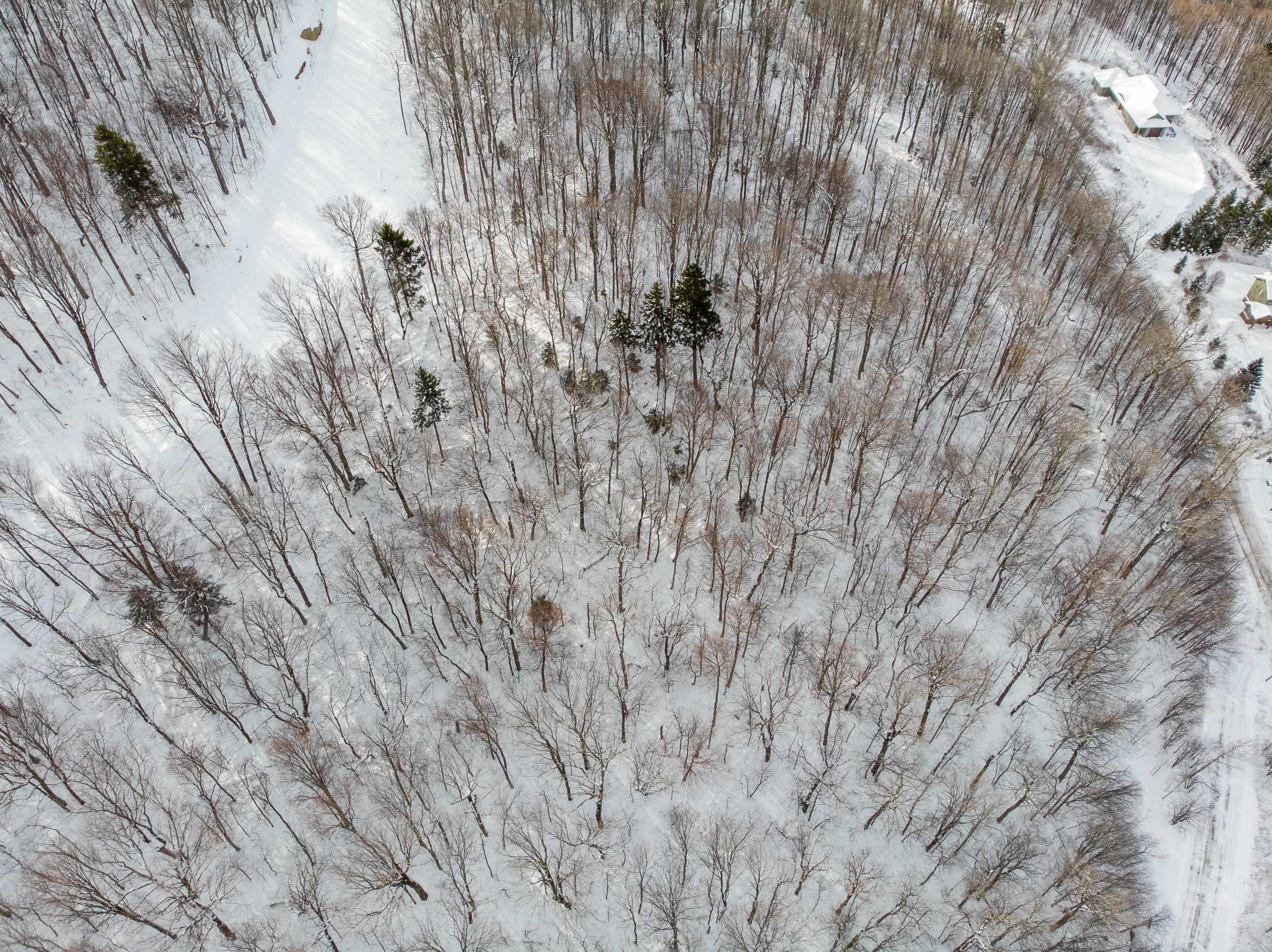 Lot 13 Mountainside Drive 13