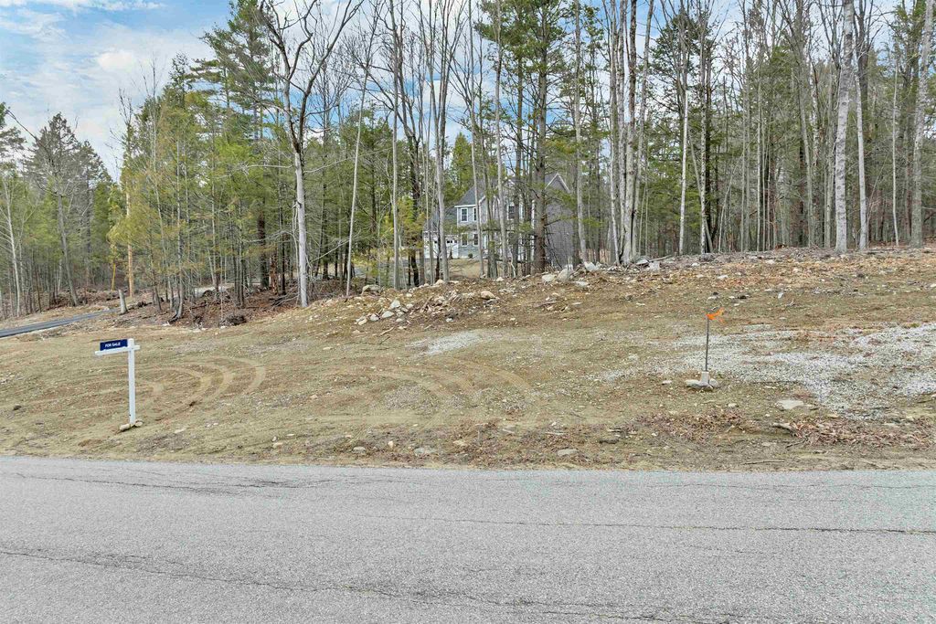 Photo of 52 Mt. Delight Road #52, Deerfield, NH 03037 (MLS # 5081348)