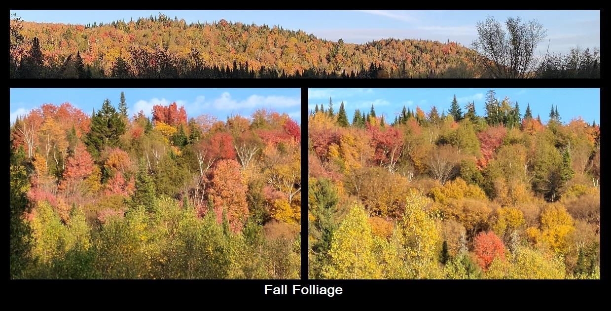 92 Bishop Brook Road