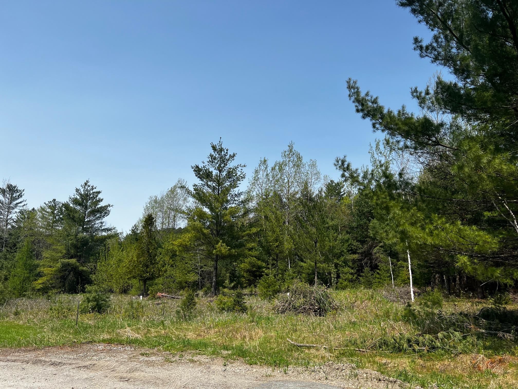 00 Spring Creek Road Lot 3