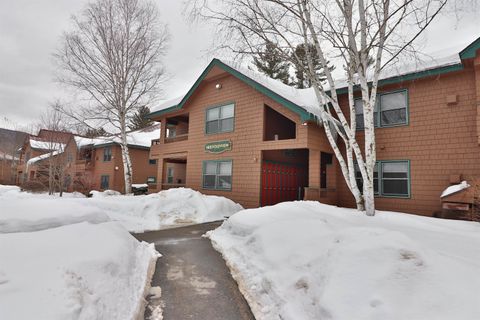 Photo of 156 Deer Park Drive #131 A, Woodstock, NH 03262 (MLS # 5078490)