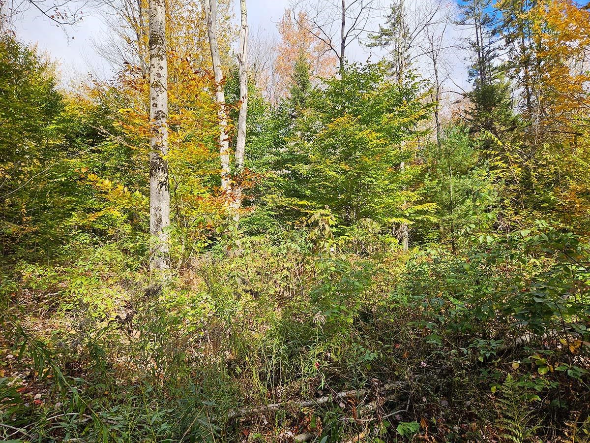 0 Oberland Valley Road