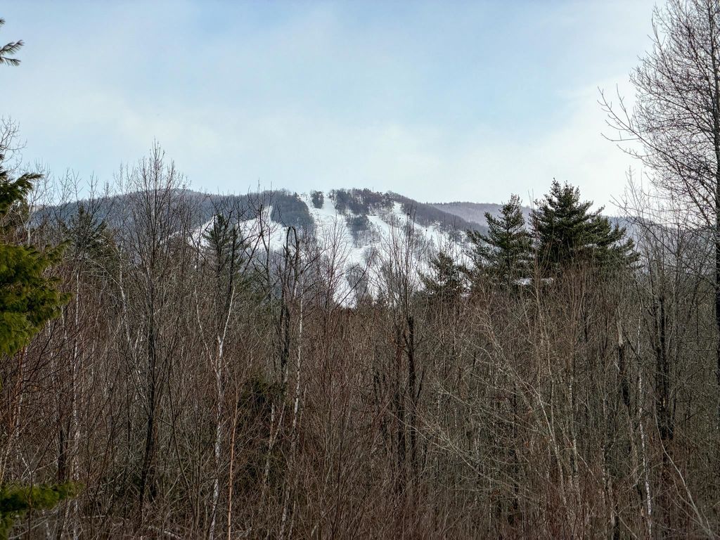 Photo of 136 Northbrook Circle #96, Conway, NH 03860 (MLS # 5074035)