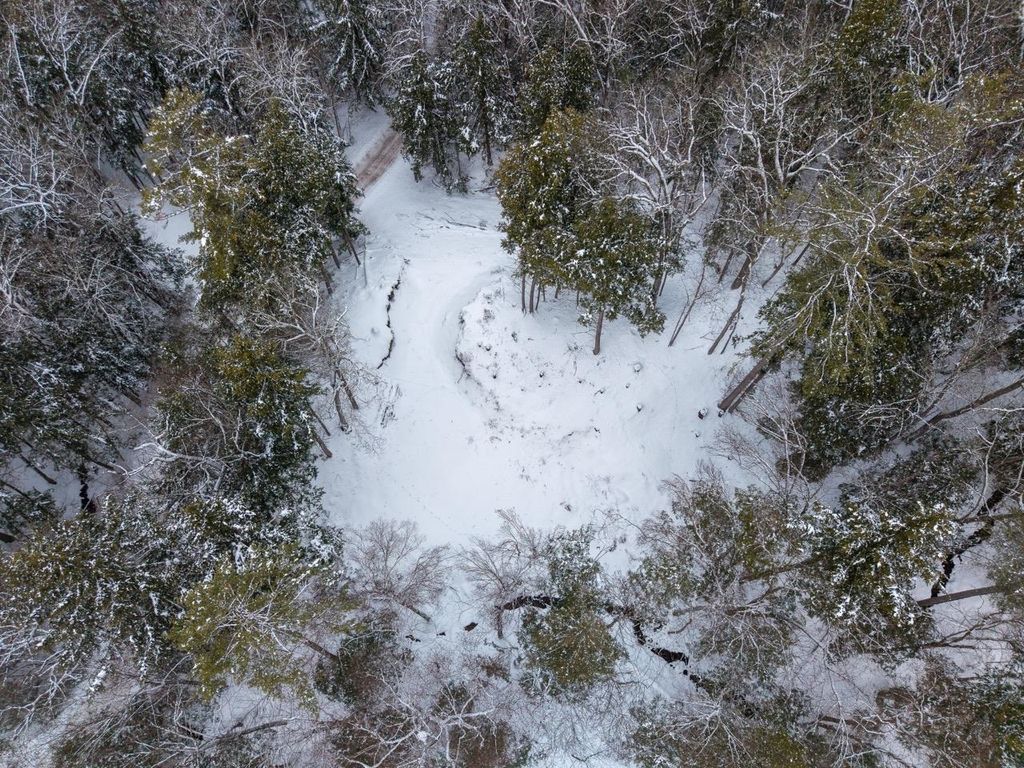 Photo of 00 Wetherbee Road #17, Lyman, NH 03585 (MLS # 5074298)