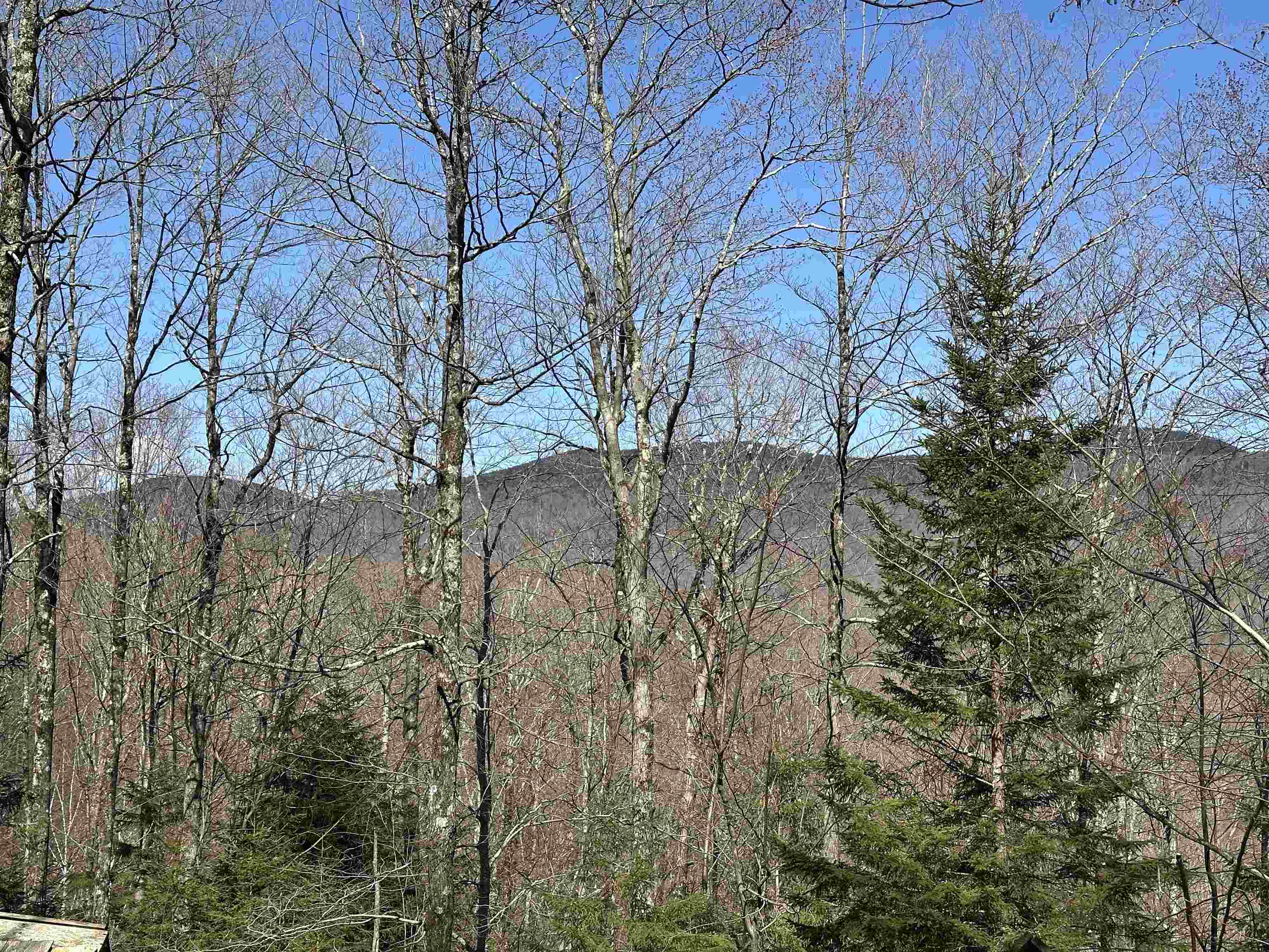 00 Ice Pond Road