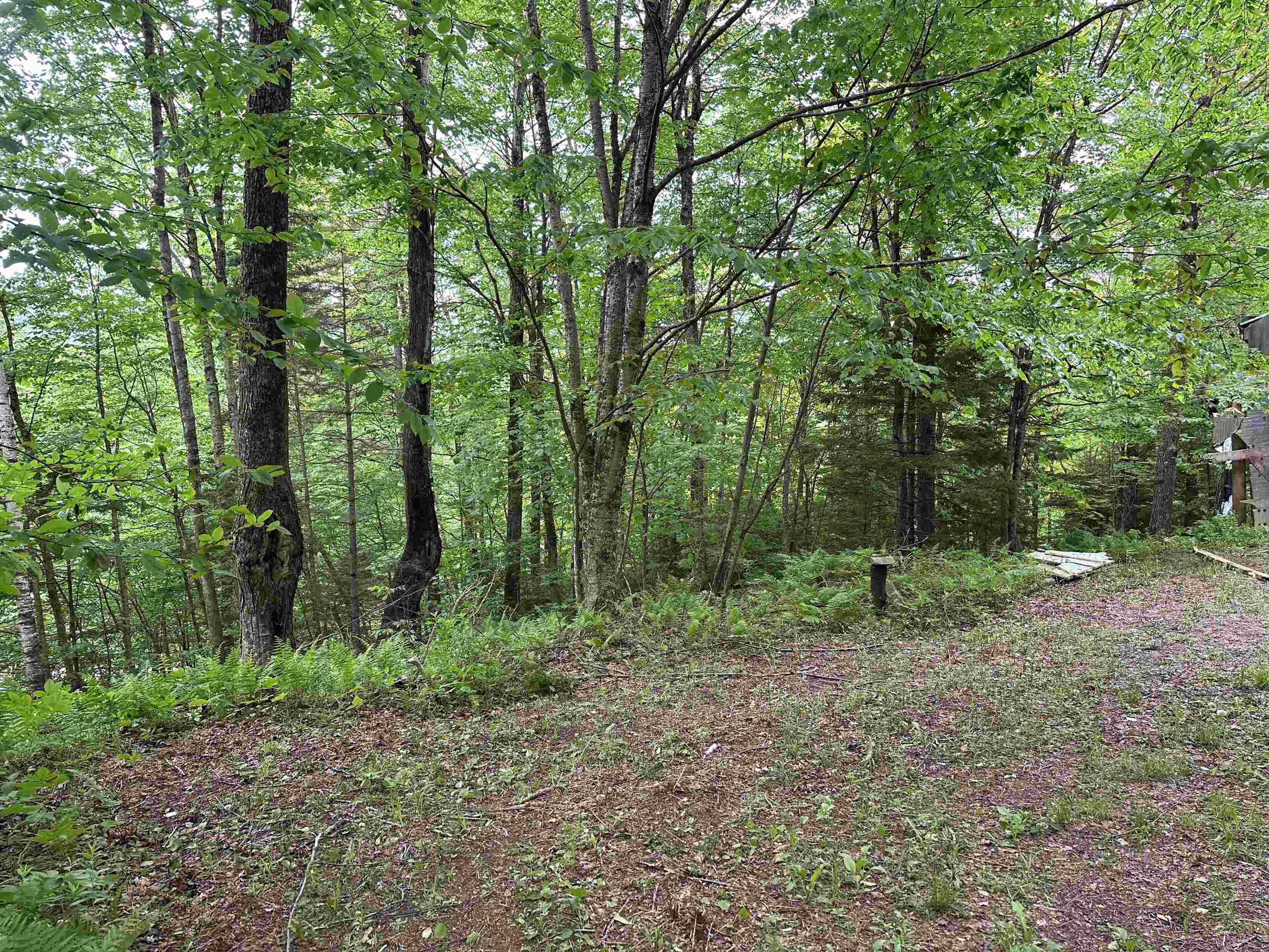 00 Ice Pond Road