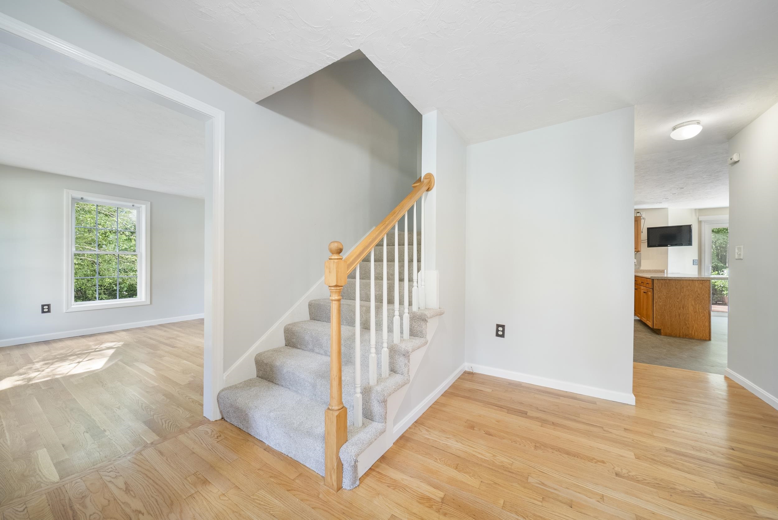 95 Lady Slipper Lane