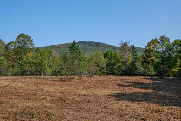 525 STATION RD, MOUNT HOLLY, VT 05758 - Image 5580e1fe91d915ea183d64ebf541eca8/3574002253