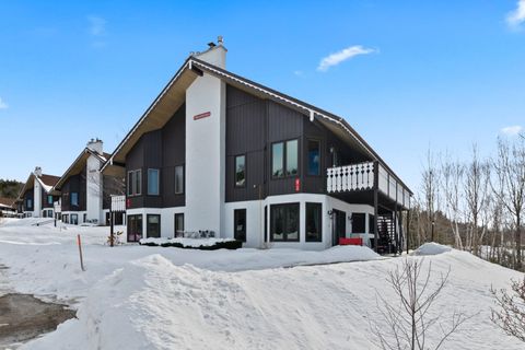 Photo of 58 Christmas Mountain Road, Bartlett, NH 03812 (MLS # 5076645)