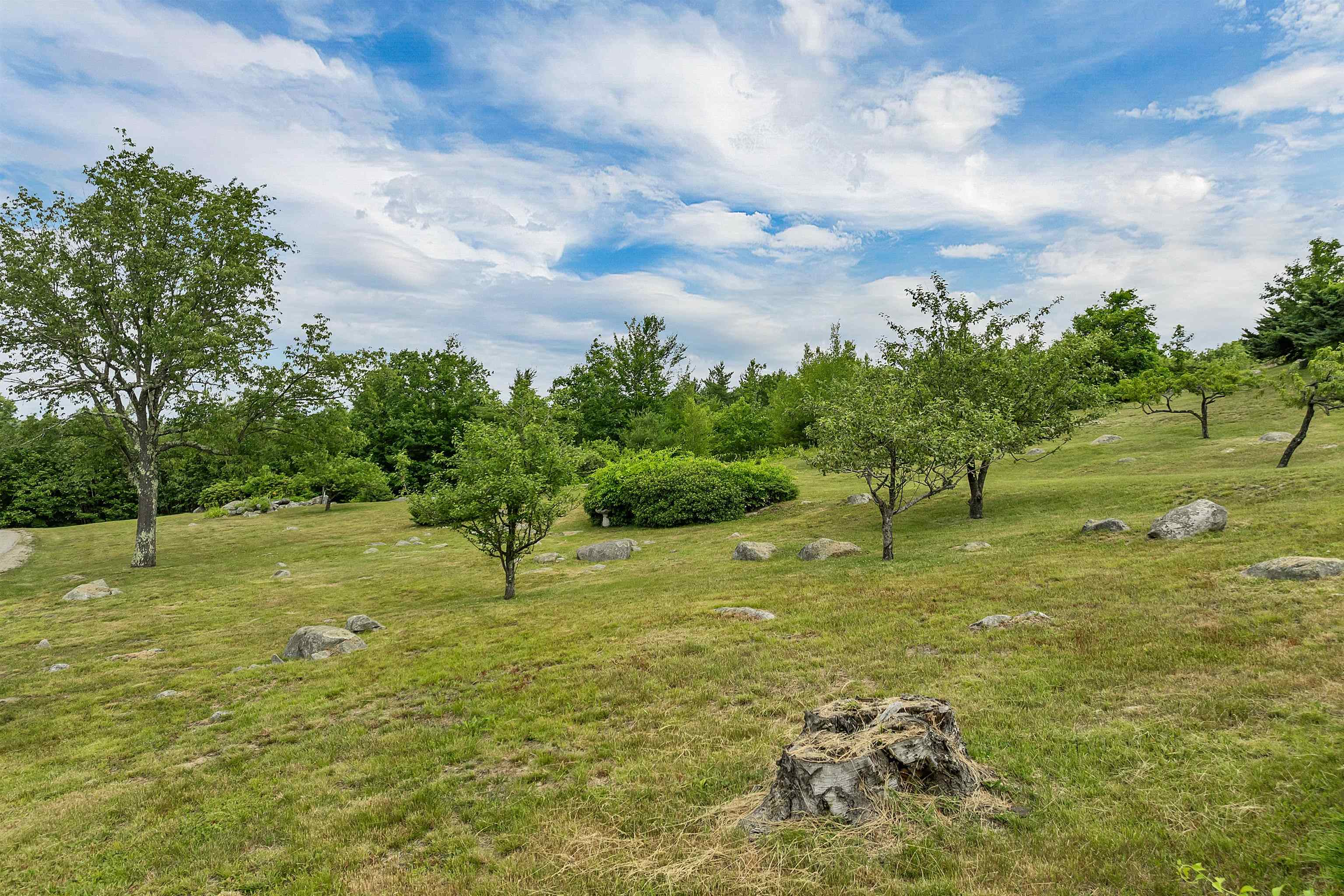 36 Blueberry Hill Road