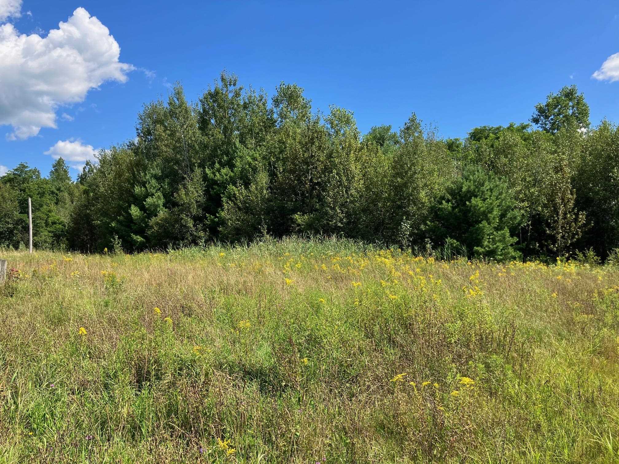 311, Lot 8 Main Street Lot 8
