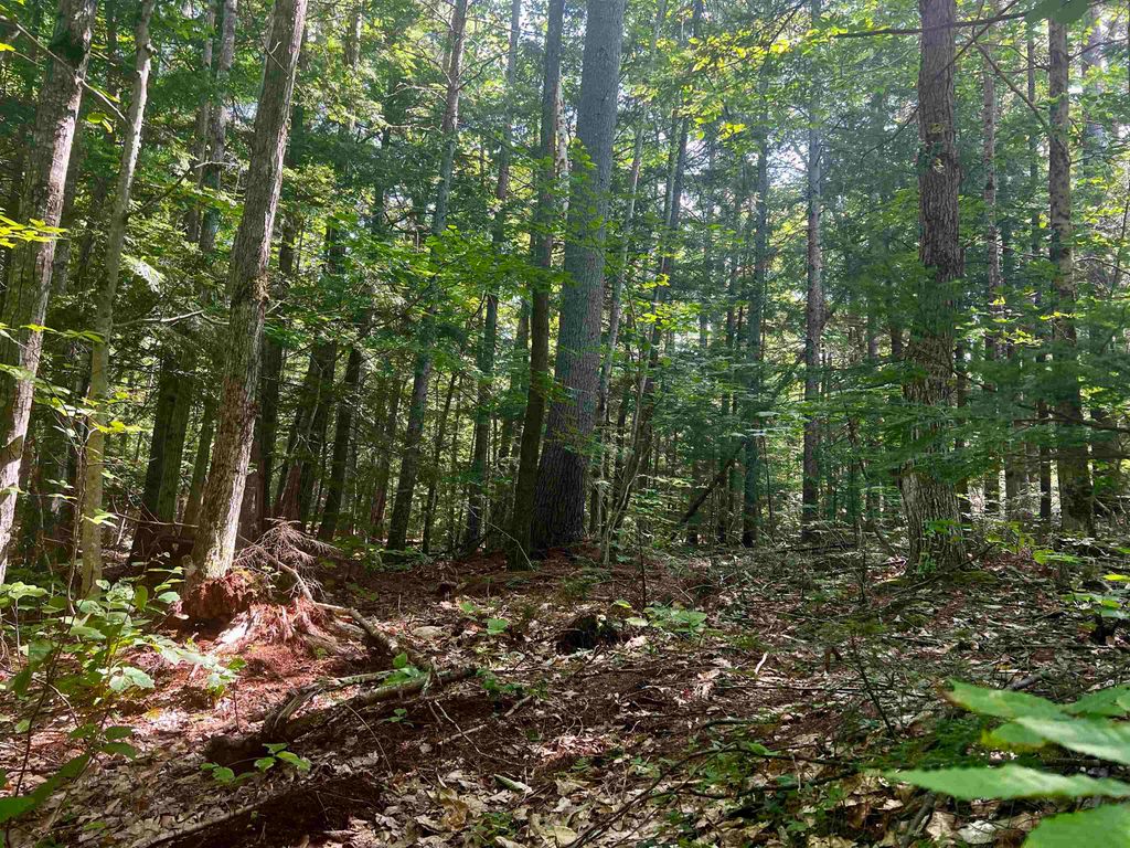 Photo of -- Landsdown Lane, Conway, NH 03818 (MLS # 5080006)