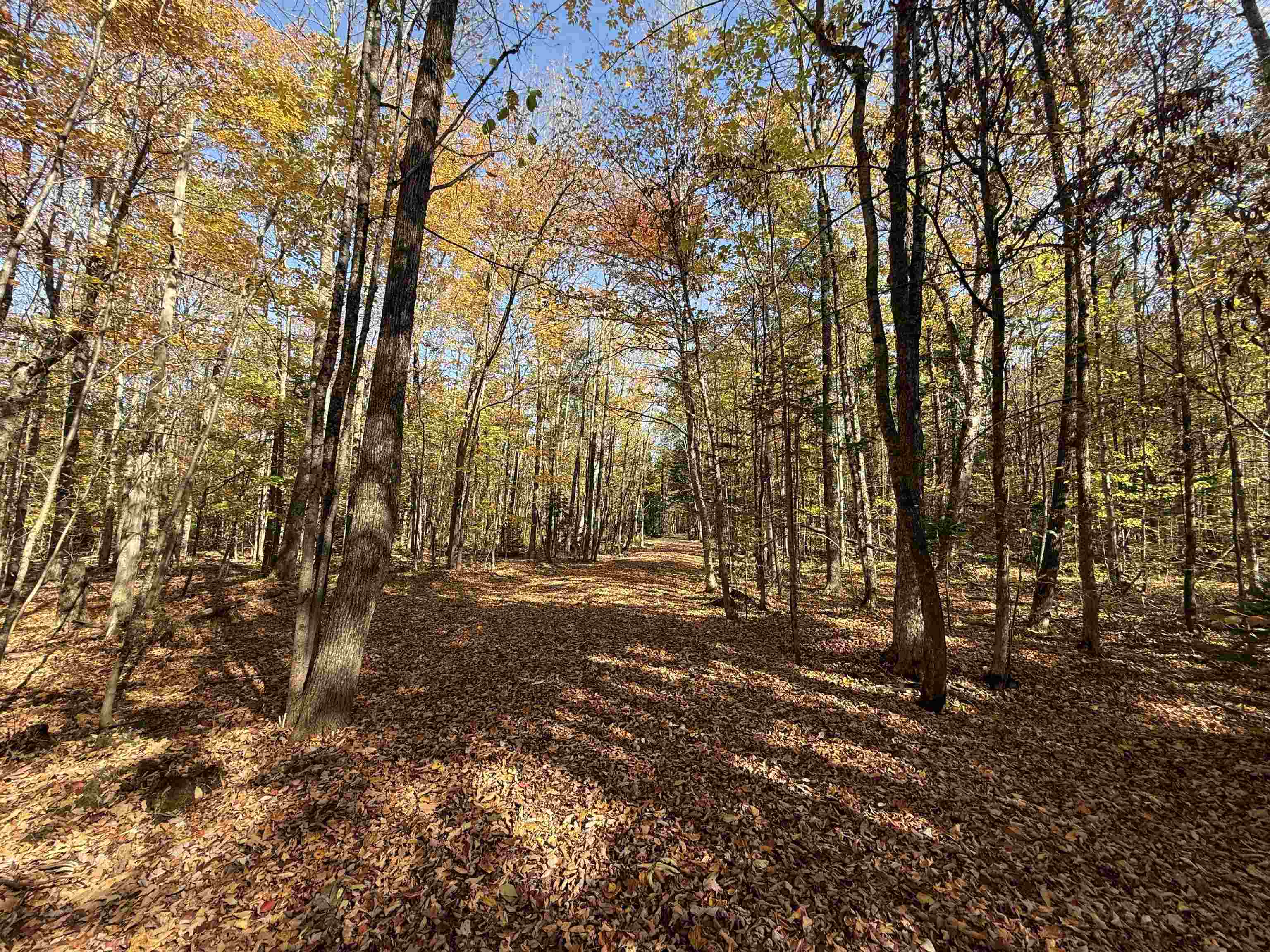 1414 Collins Mill Road