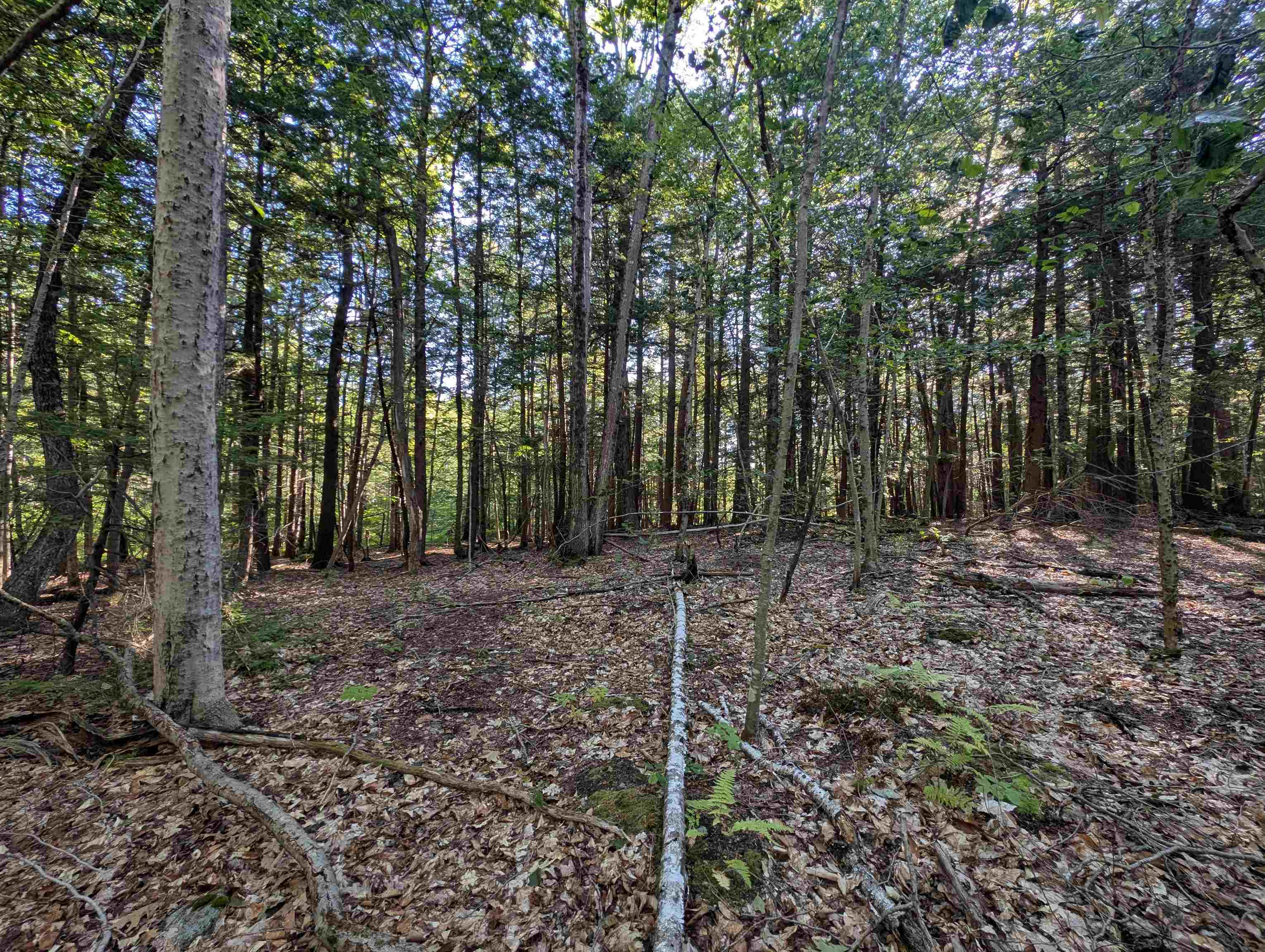 008-043-001 School House Road