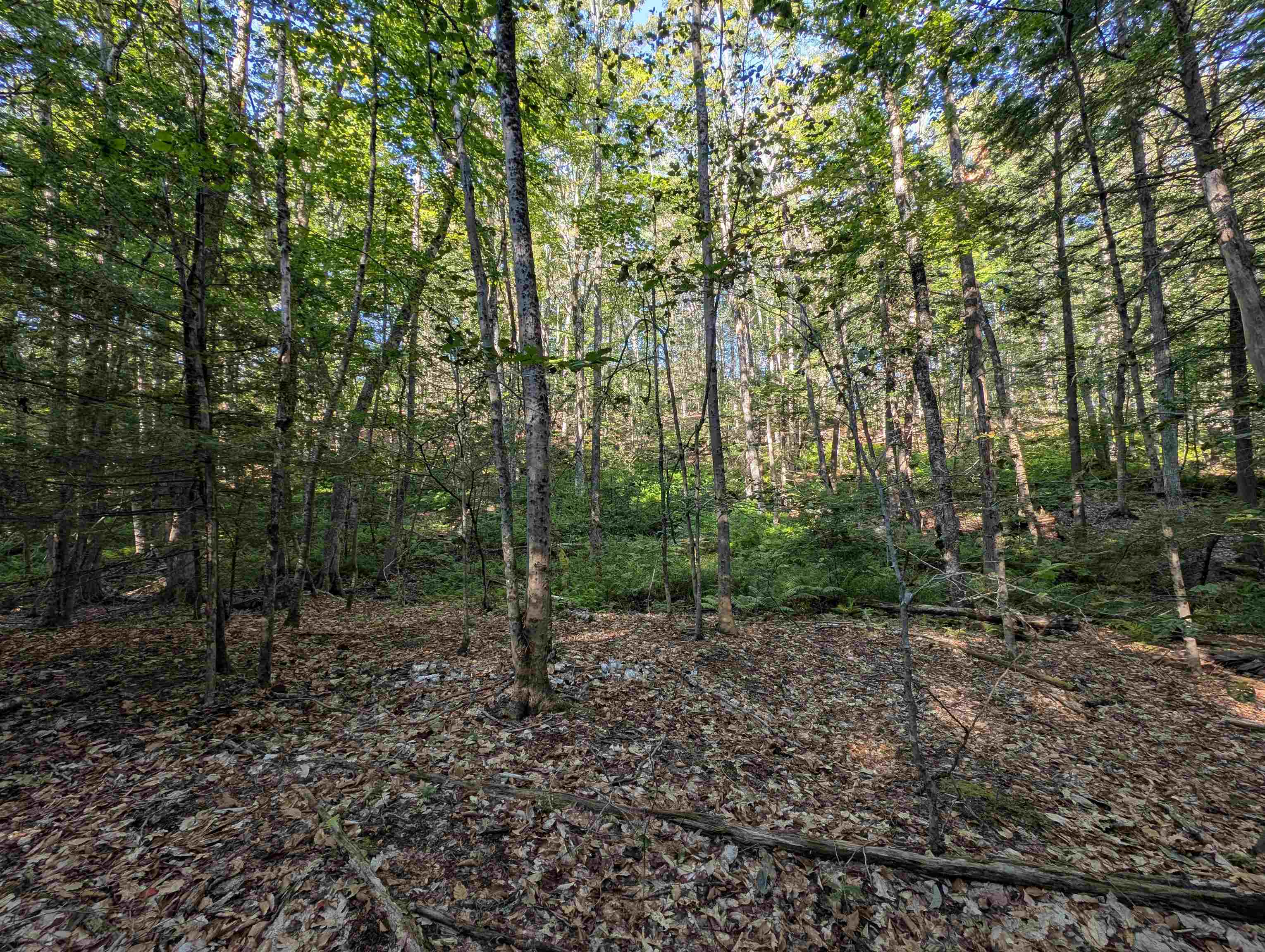 008-043-001 School House Road