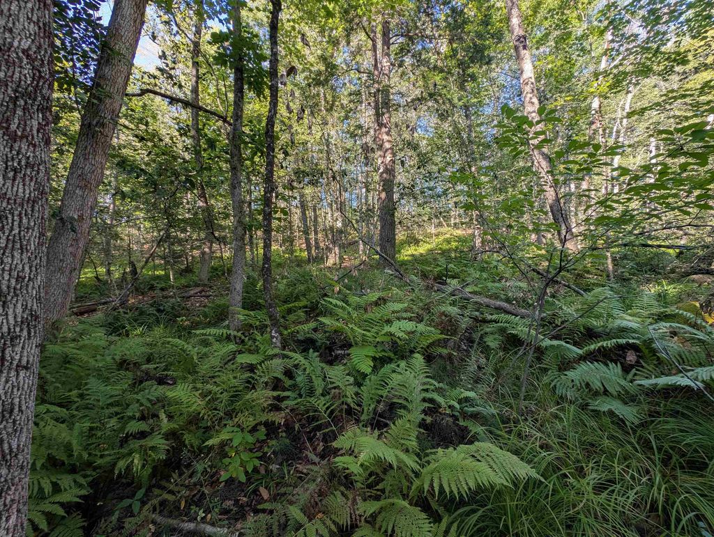 Photo of 8043001 School House Road, Francestown, NH 03043 (MLS # 5058958)