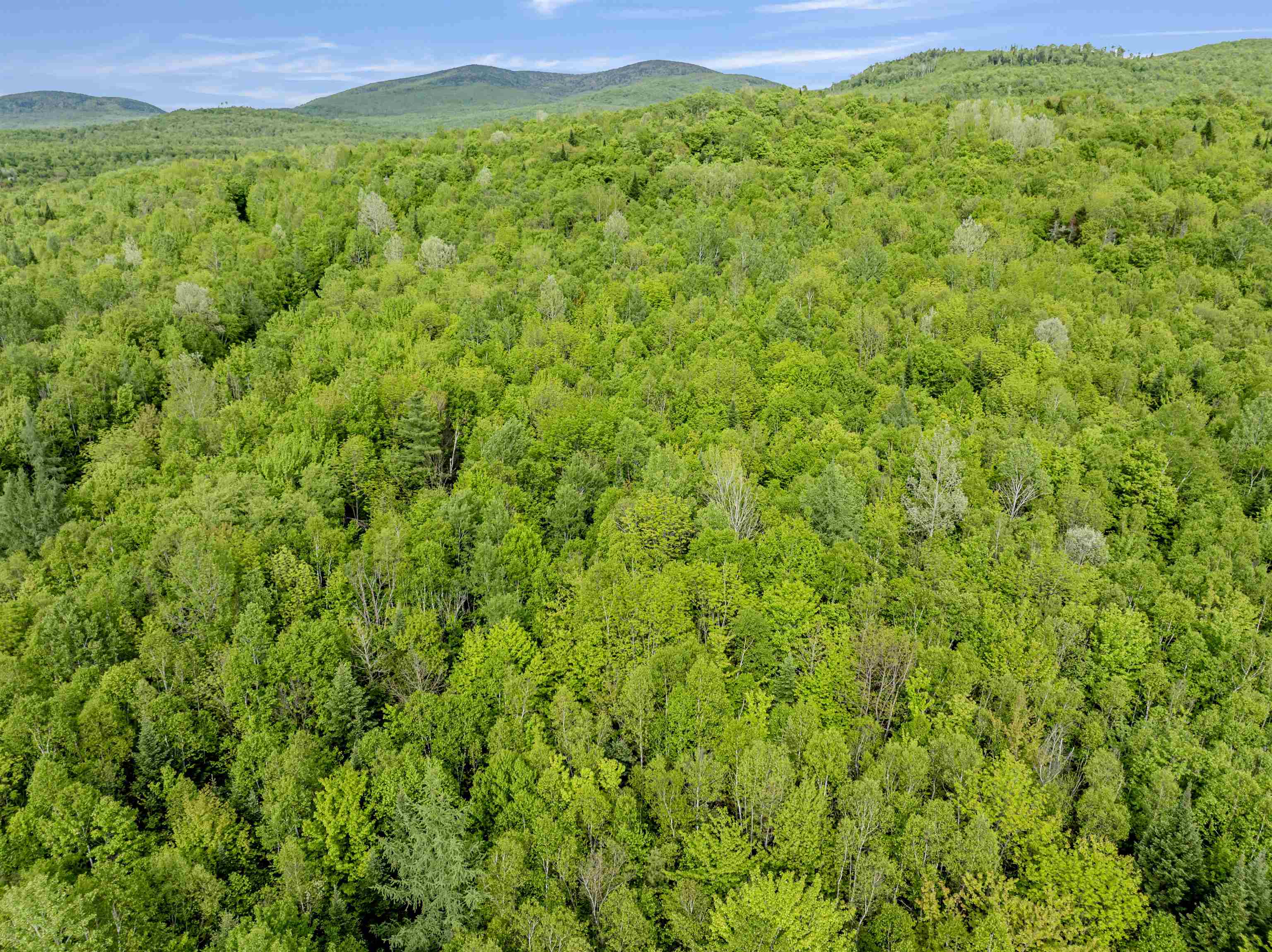 Lot 9 Off US Route 3