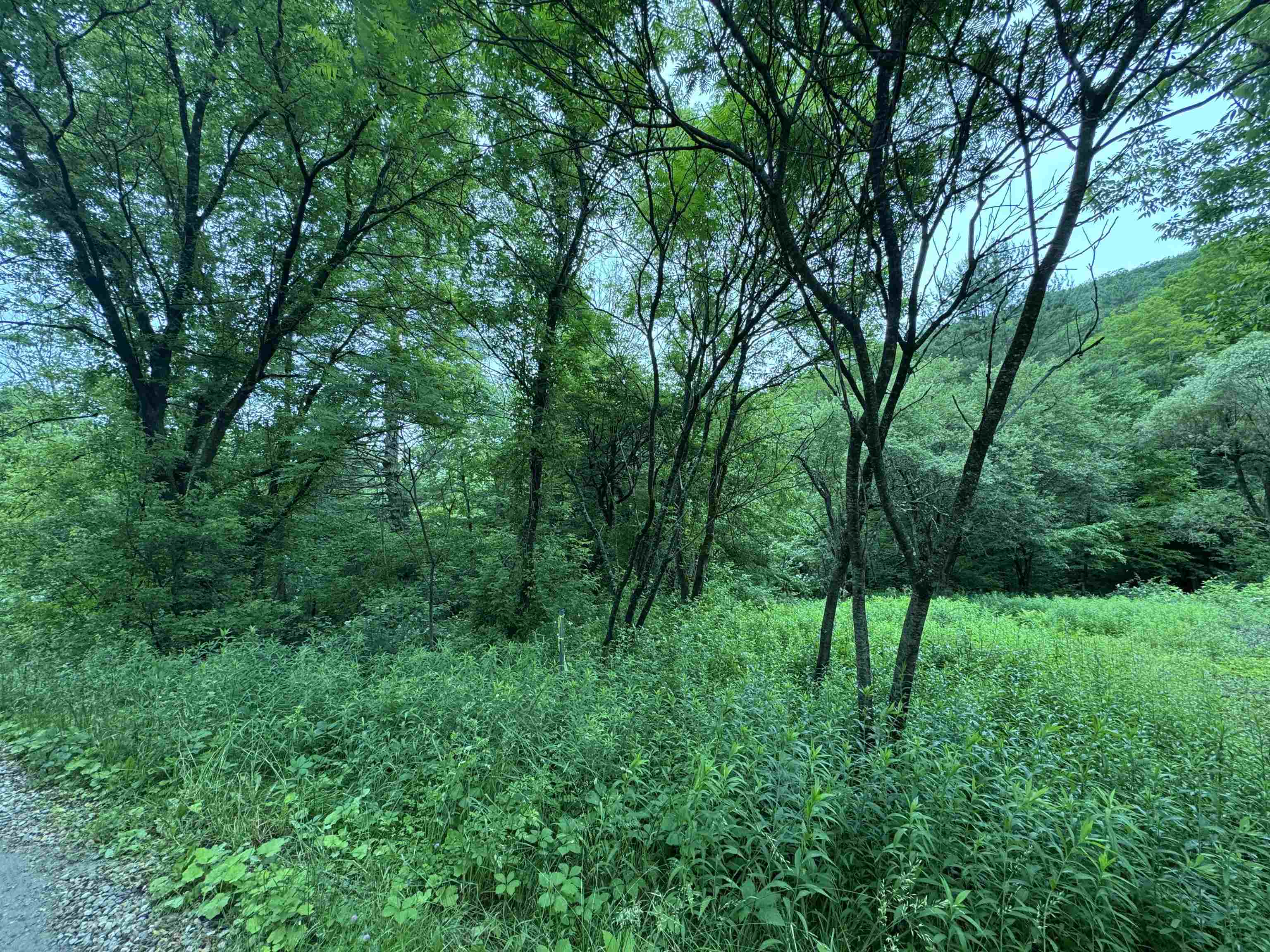 0000 Skiparee Road