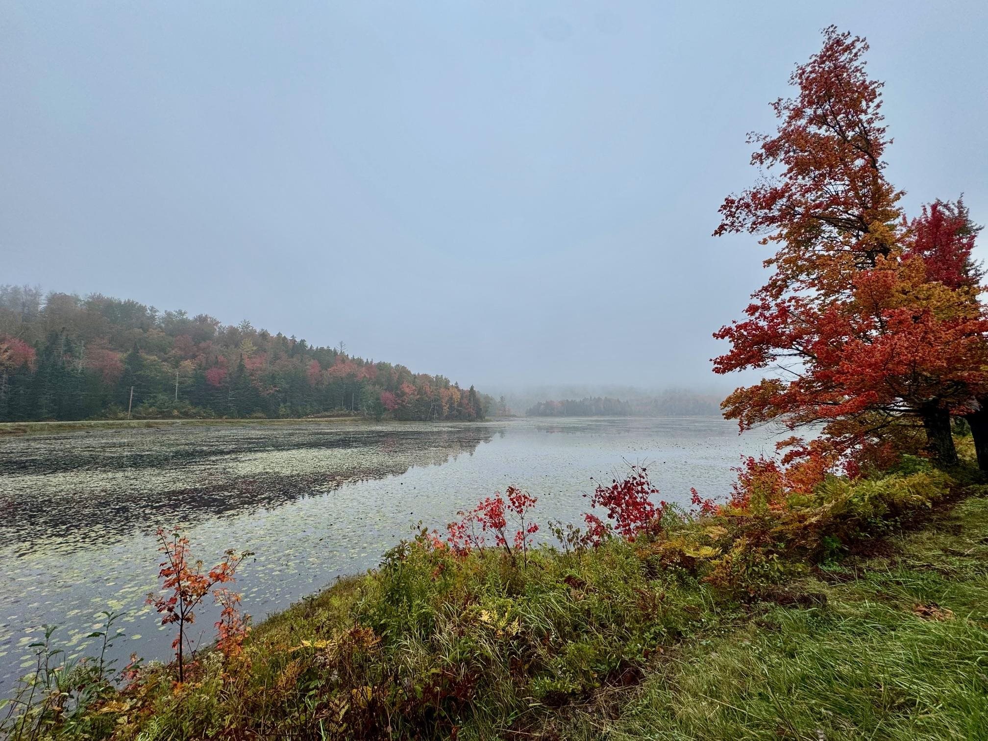 Windham, Vermont 05359, United States, 4 Bedrooms Bedrooms, ,2 BathroomsBathrooms,Residential,Active,217866