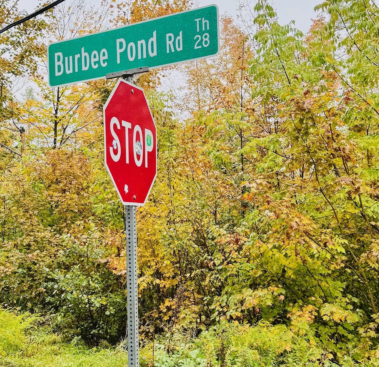 Windham, Vermont 05359, United States, 4 Bedrooms Bedrooms, ,2 BathroomsBathrooms,Residential,Active,217866