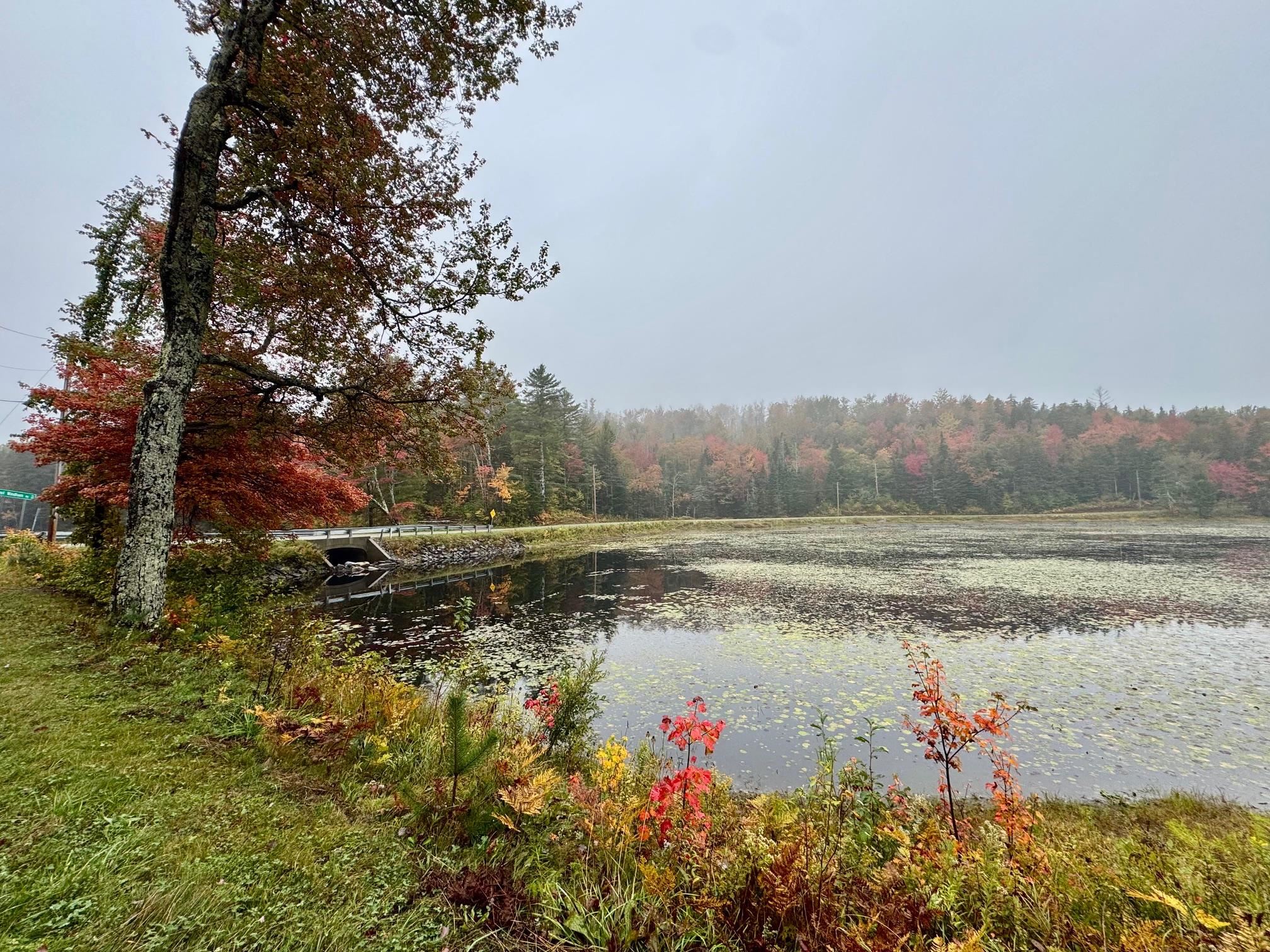 Windham, Vermont 05359, United States, 4 Bedrooms Bedrooms, ,2 BathroomsBathrooms,Residential,Active,217866