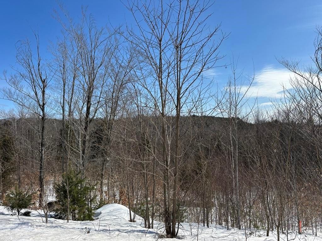 Photo of 68 Grandview Road, Conway, NH 03818 (MLS # 5076515)