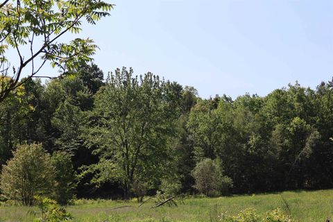 1041 Smead Road Lot 1 Salisbury VT 05769