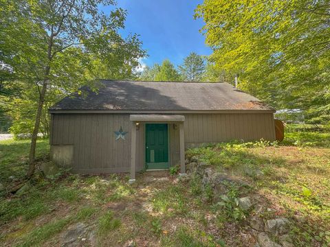 11 Sharon Lane Mount Holly VT 05758