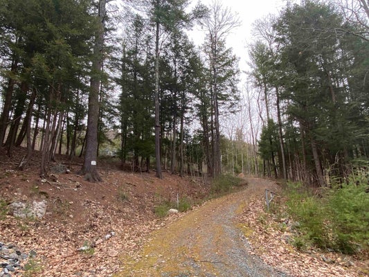 106 MASTIN RD, NORTH SUTTON, NH 03260 - Image 5772faa217c5b31e1f9ca269dc2c4449/761004416