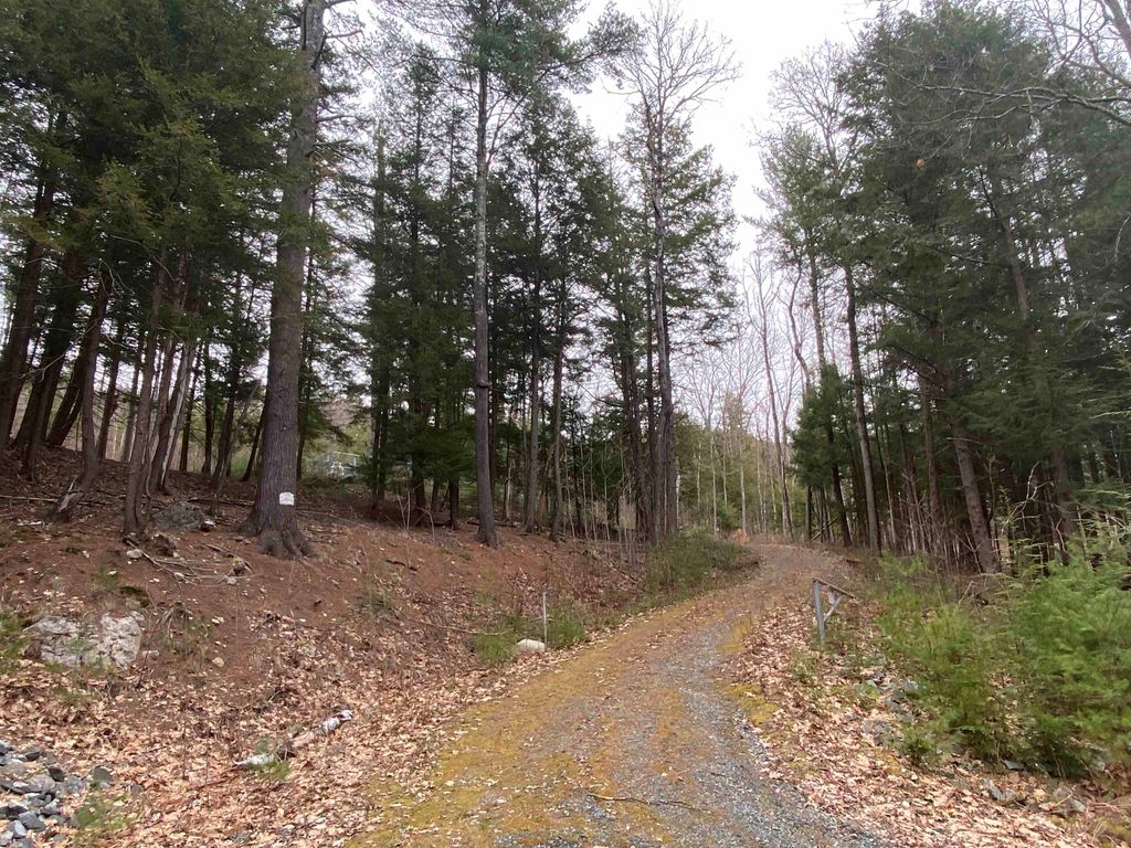 Photo of 106 Mastin Road, Sutton, NH 03260 (MLS # 5084191)