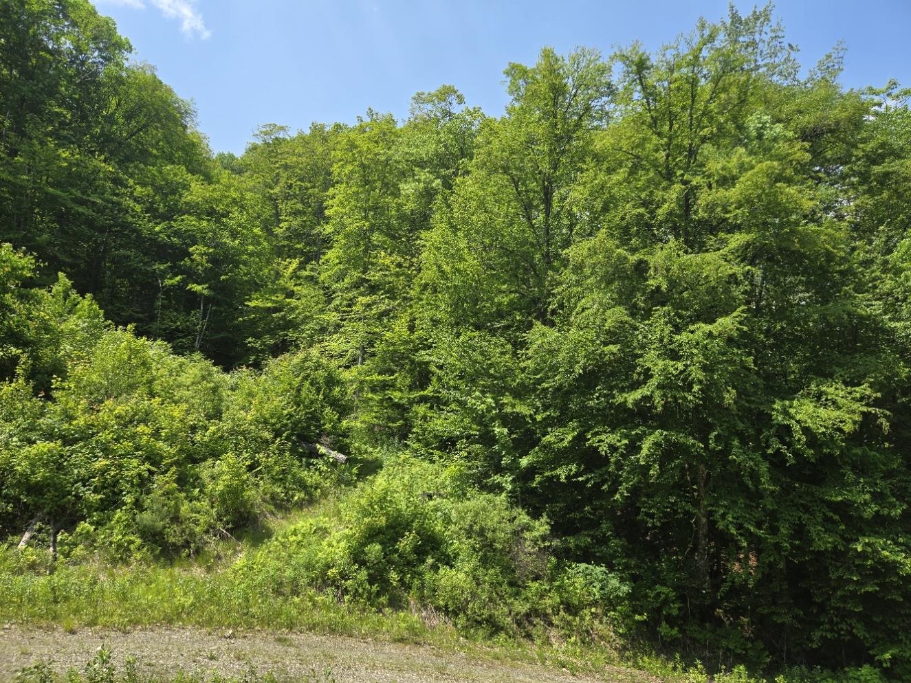 459 Sugar Hill Road