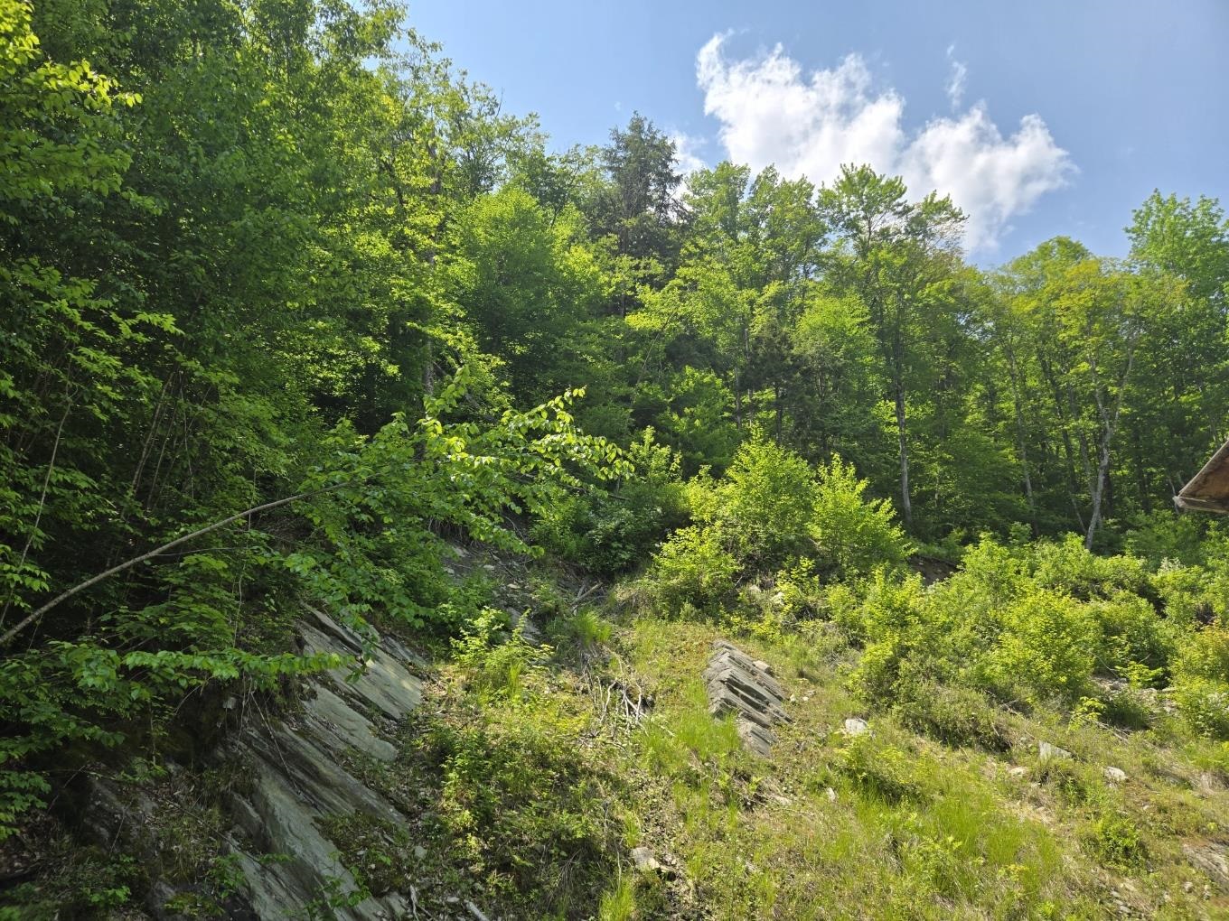 459 Sugar Hill Road