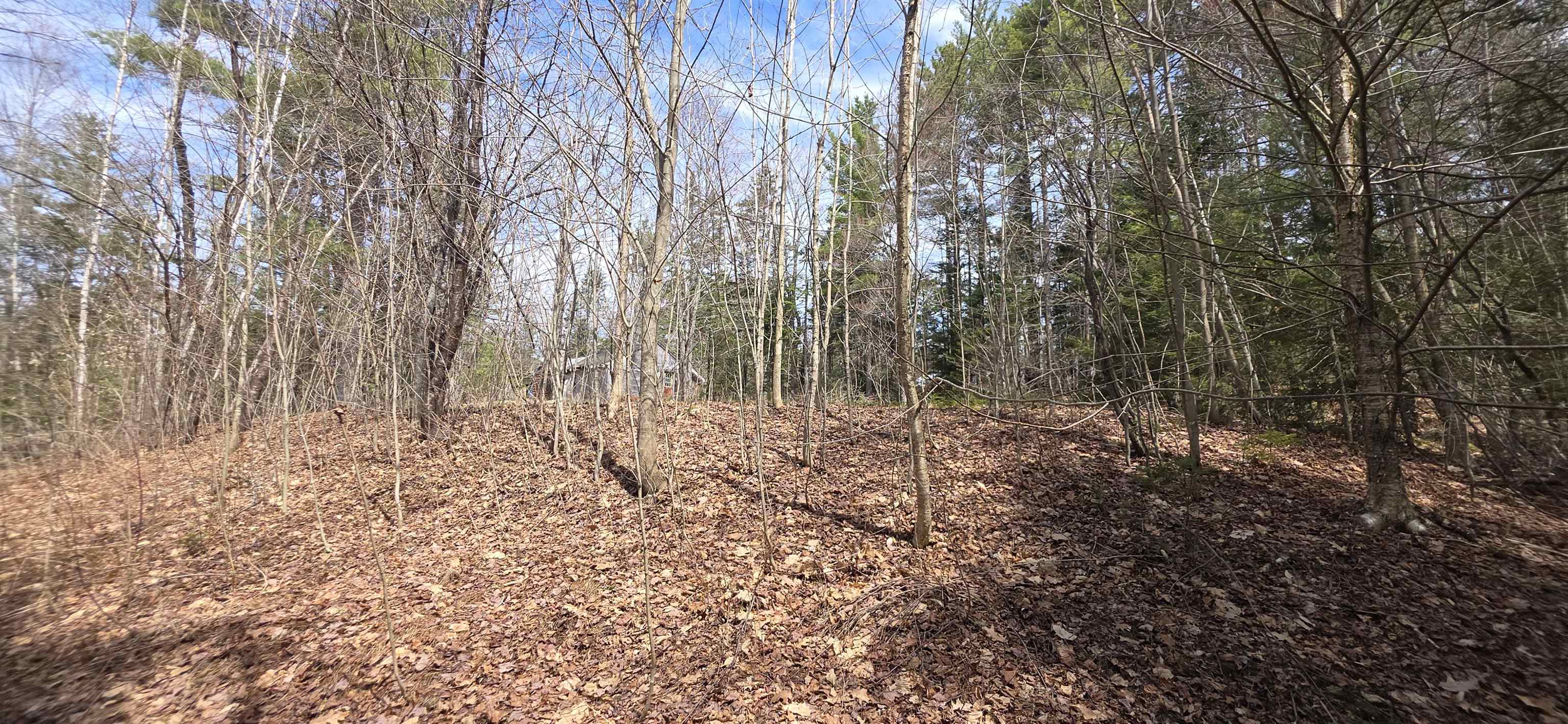 1715 New Hampshire Route 118 Route