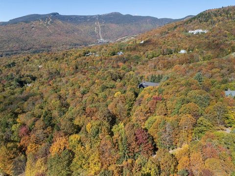 00 Billings Hill Road 38 Stowe VT 05672