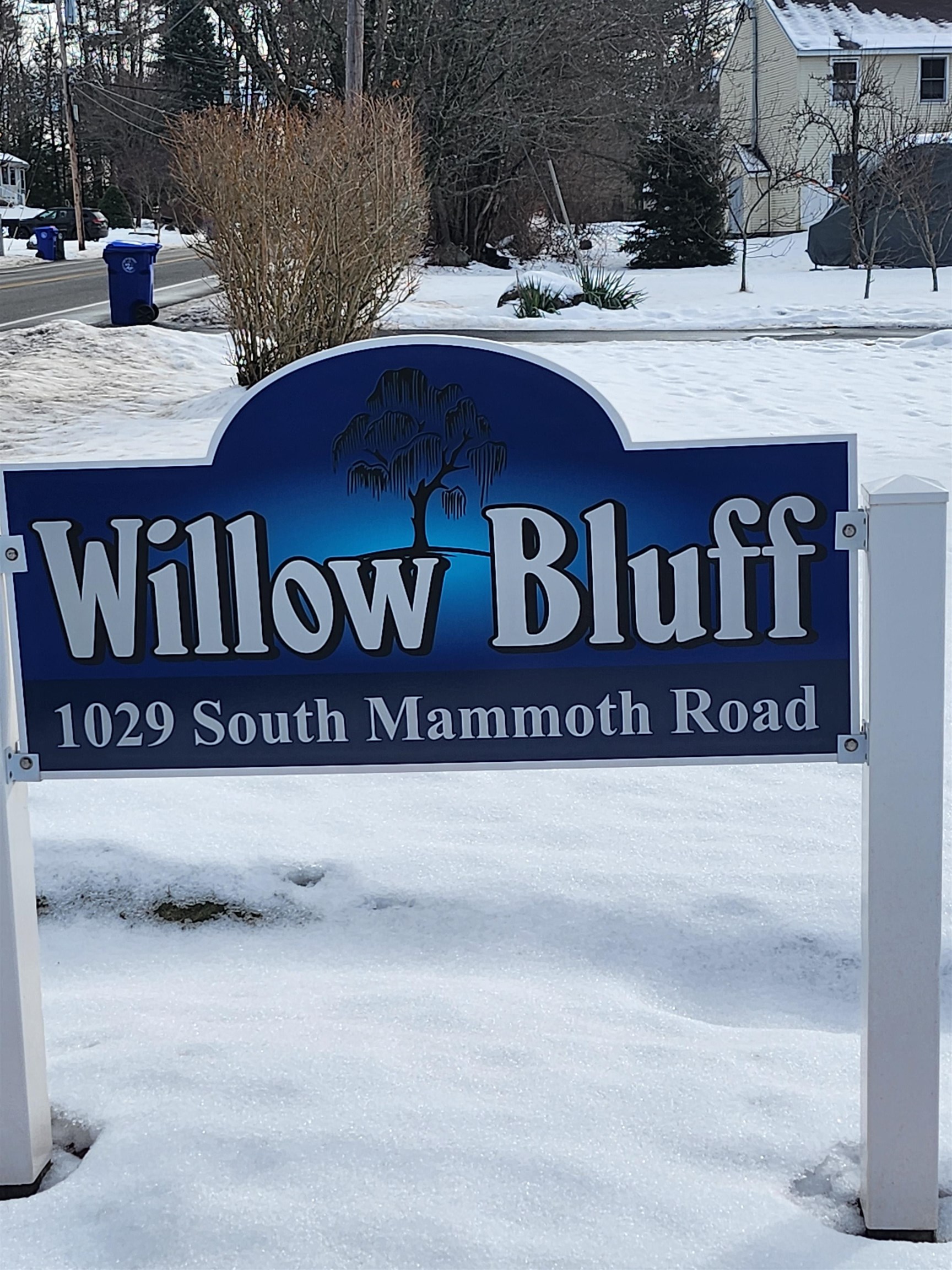 1029 S Mammoth Road 36