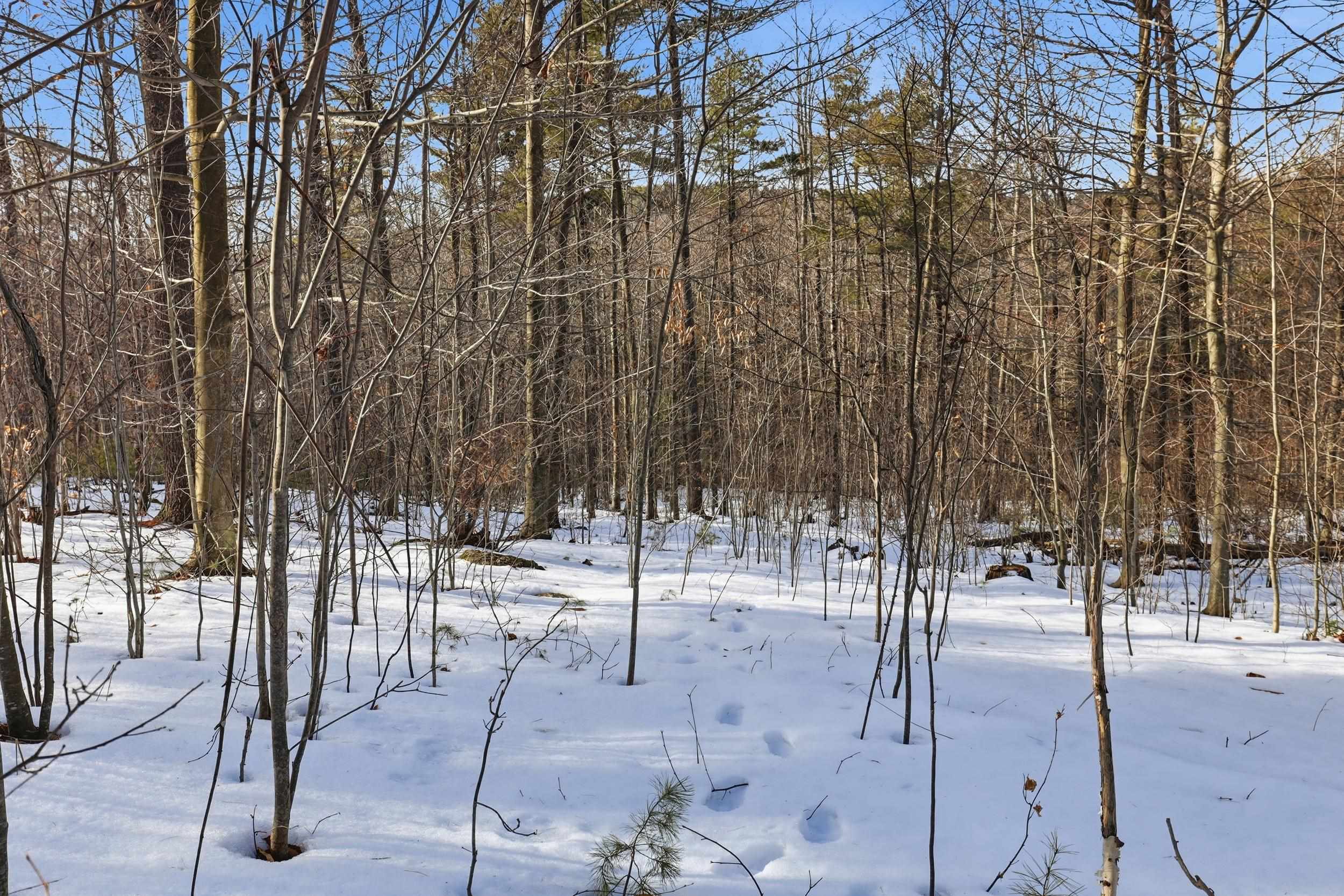 TaxMap 5B Lot97 NH Route 114 97