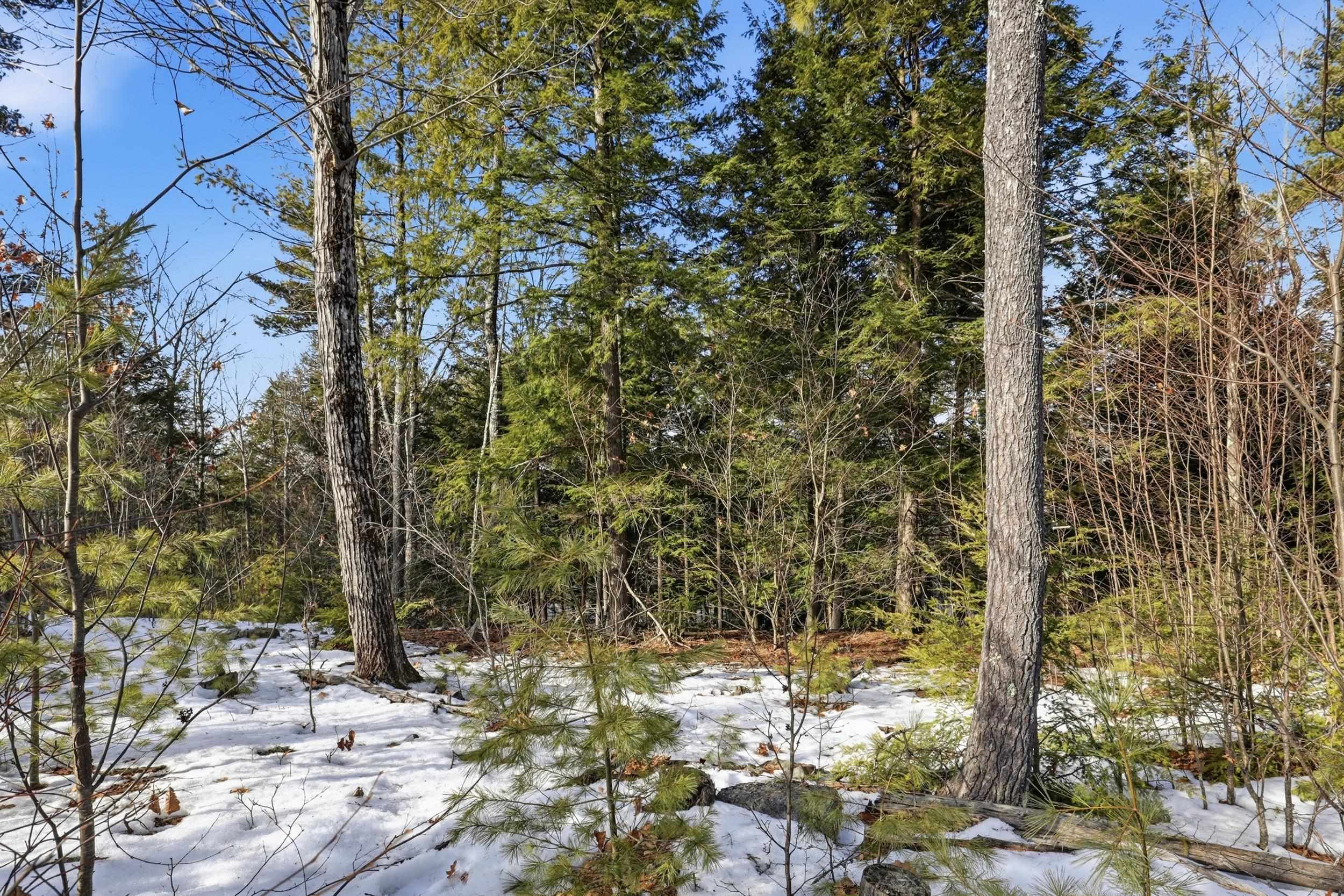 TaxMap 5B Lot97 NH Route 114 97