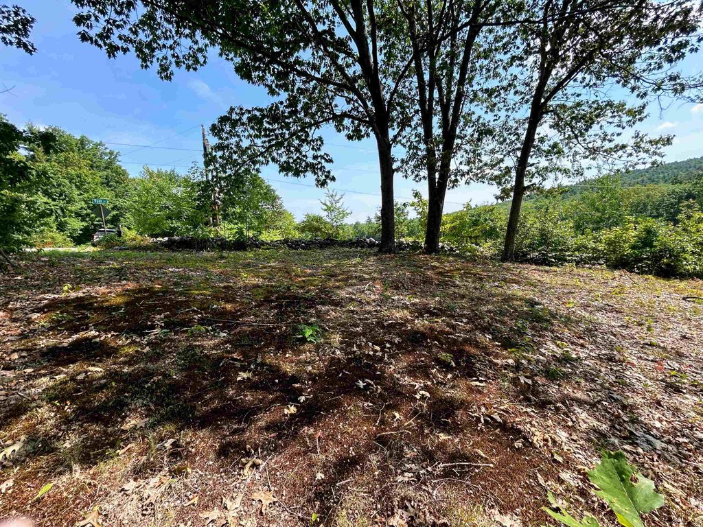 Photo of 149 Bear Hill Road, Henniker, NH 03242 (MLS # 5054392)