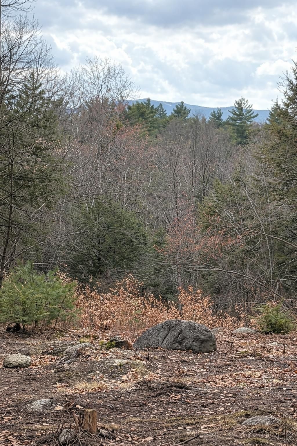 Photo of 0 Greenwood Road #map 8 lot 37H, Dublin, NH 03444 (MLS # 5083620)