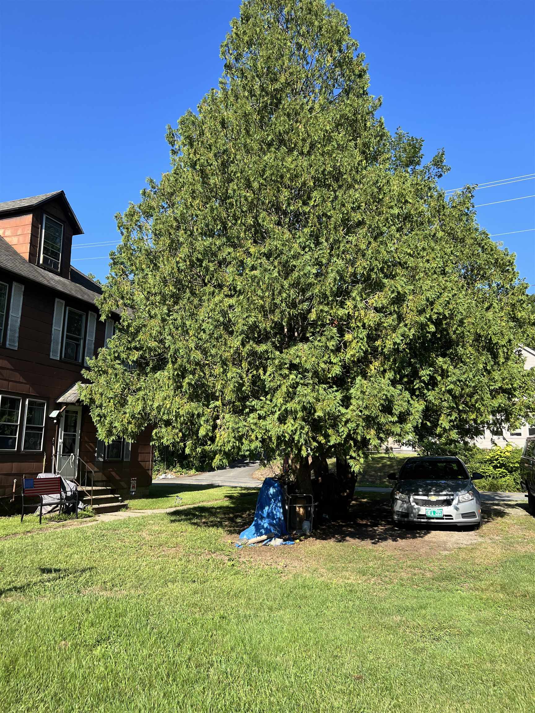 556 South Main Street