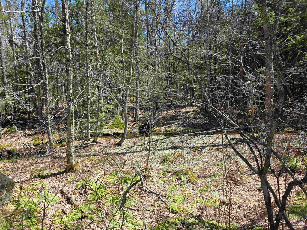 Photo of 0 Mansfield Road, Marlow, NH 03456 (MLS # 5086486)