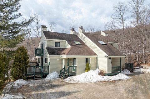 36 Lower IV A 48B Ludlow VT 05149