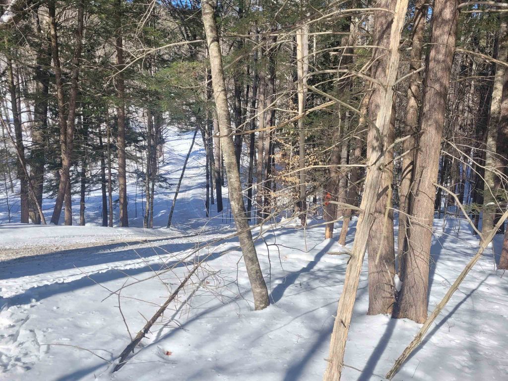 Photo of 0 Hunt Road, Westmoreland, NH 03467 (MLS # 5077759)