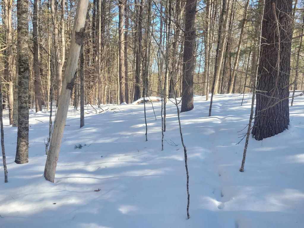 Photo of 0 Hunt Road, Westmoreland, NH 03467 (MLS # 5077759)