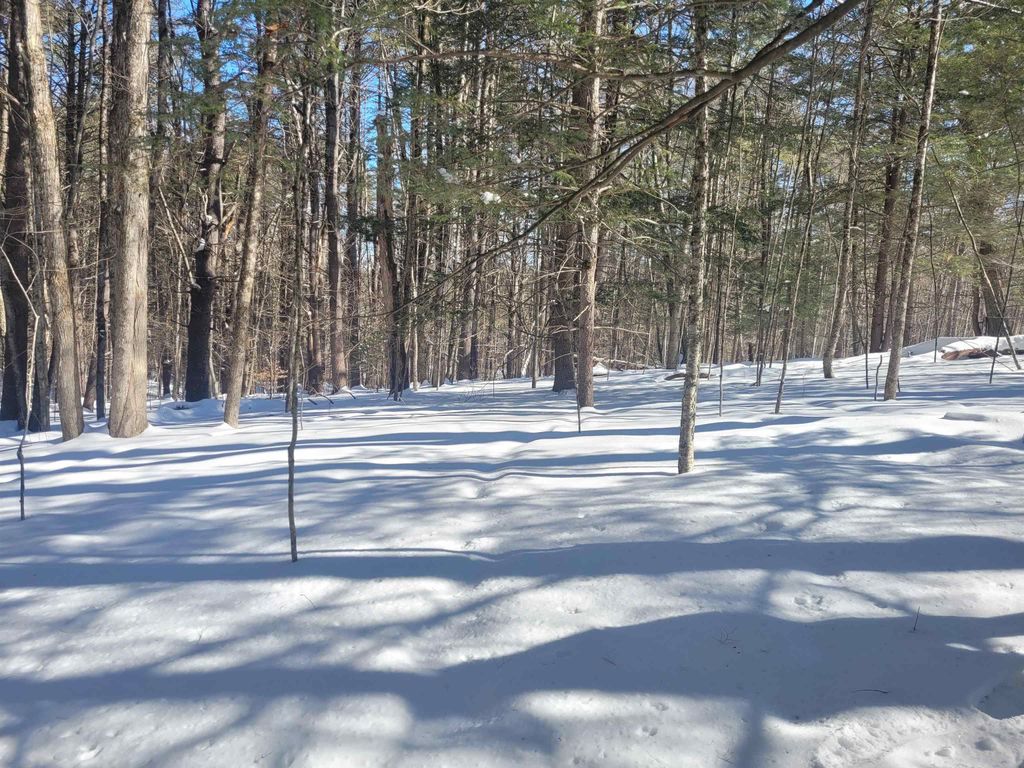 Photo of 0 Hunt Road, Westmoreland, NH 03467 (MLS # 5077759)
