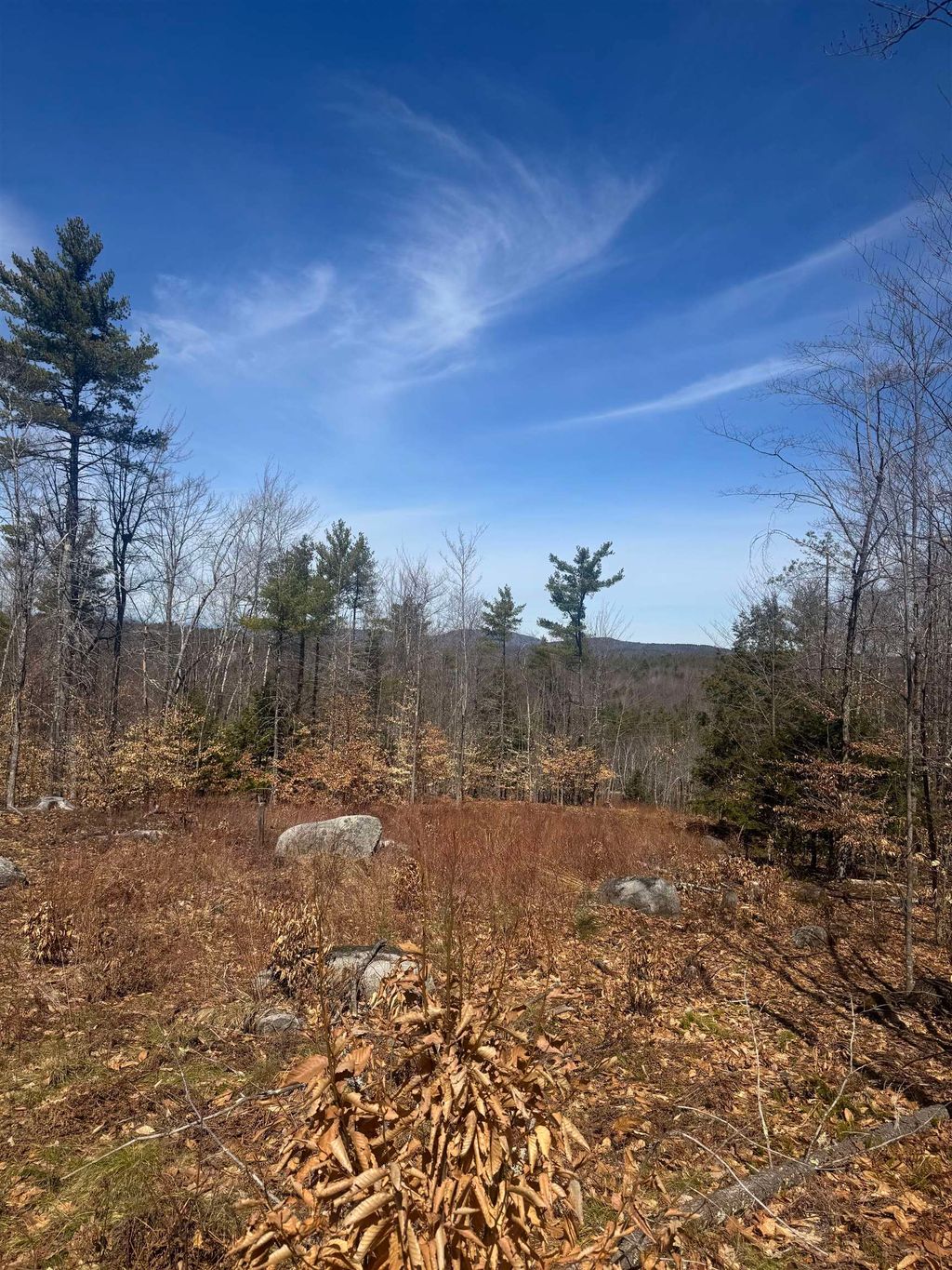 Photo of 8 Wakefield North Road, Wolfeboro, NH 03894 (MLS # 5089055)