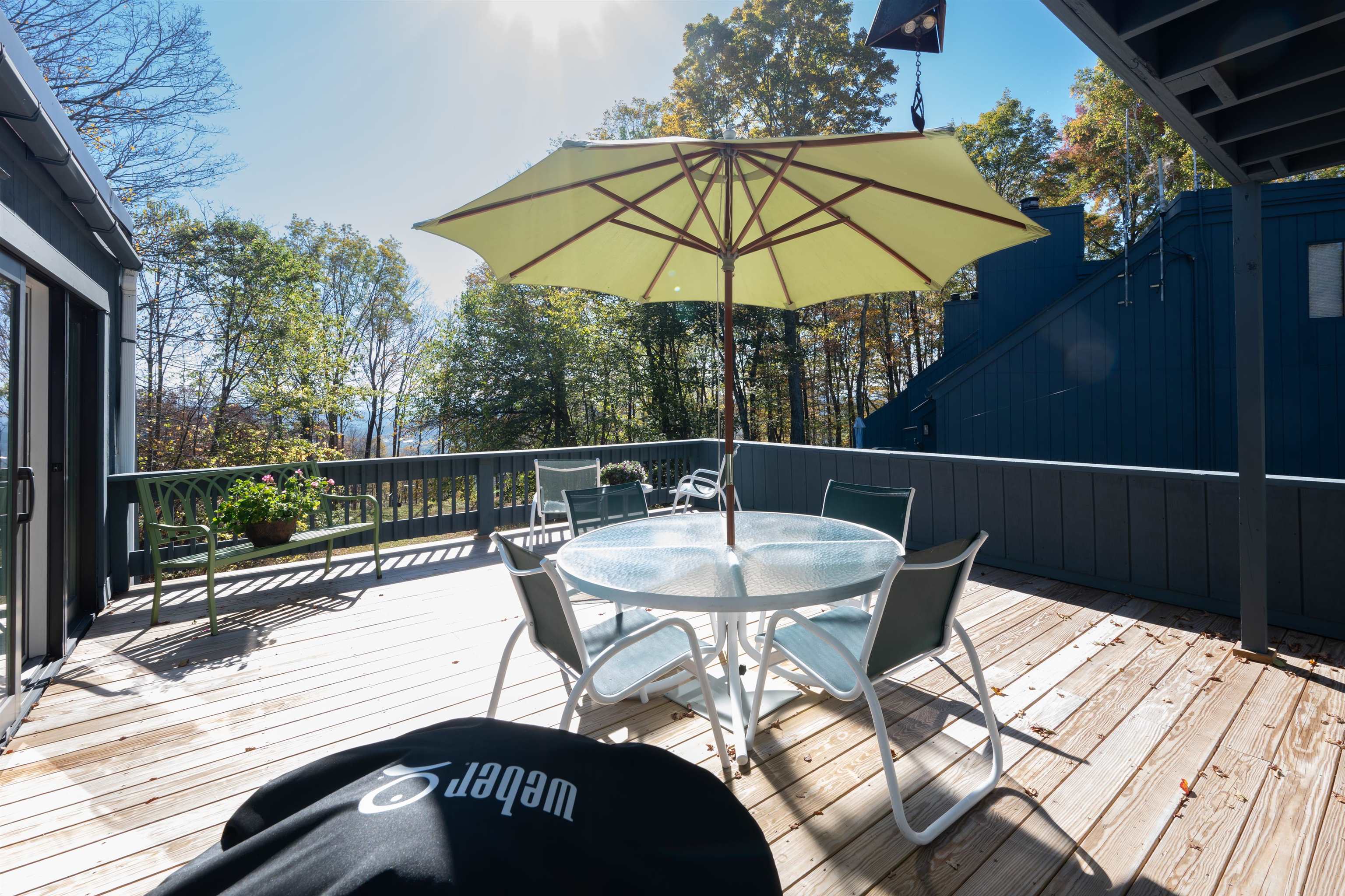 119 Williams Lane 12A