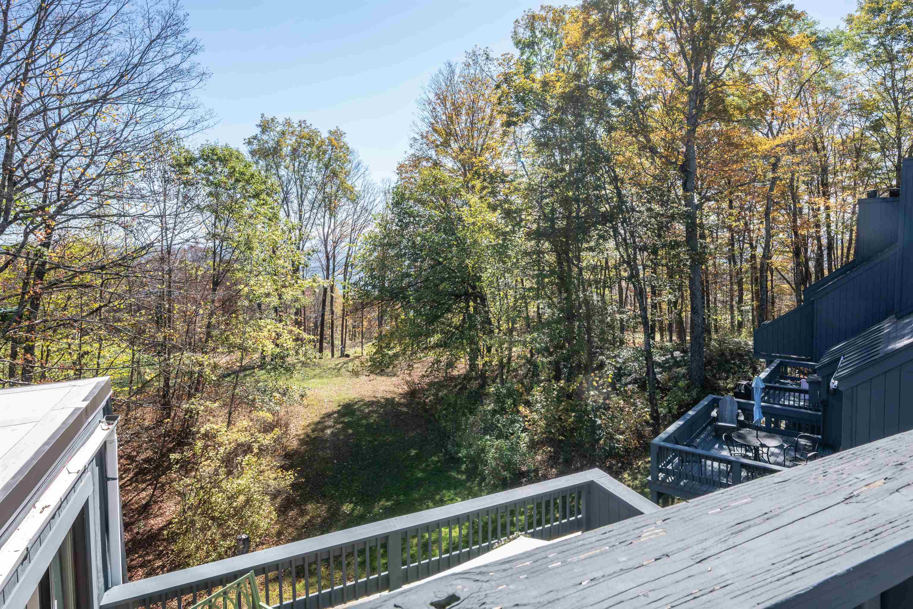 119 Williams Lane 12A